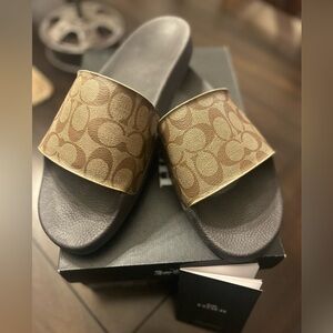 Signature Coach Slides